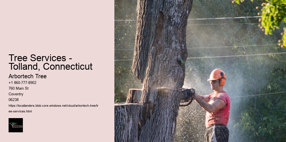 Tree Services - Tolland, Connecticut