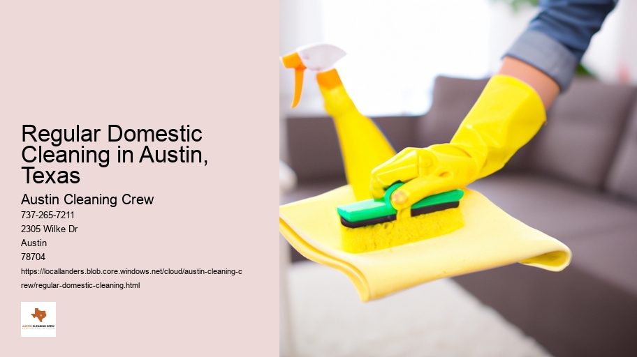 Regular Domestic Cleaning in Austin, Texas