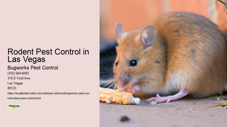 Rodent Pest Control in Las Vegas