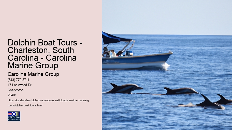Dolphin Boat Tours - Charleston, South Carolina - Carolina Marine Group