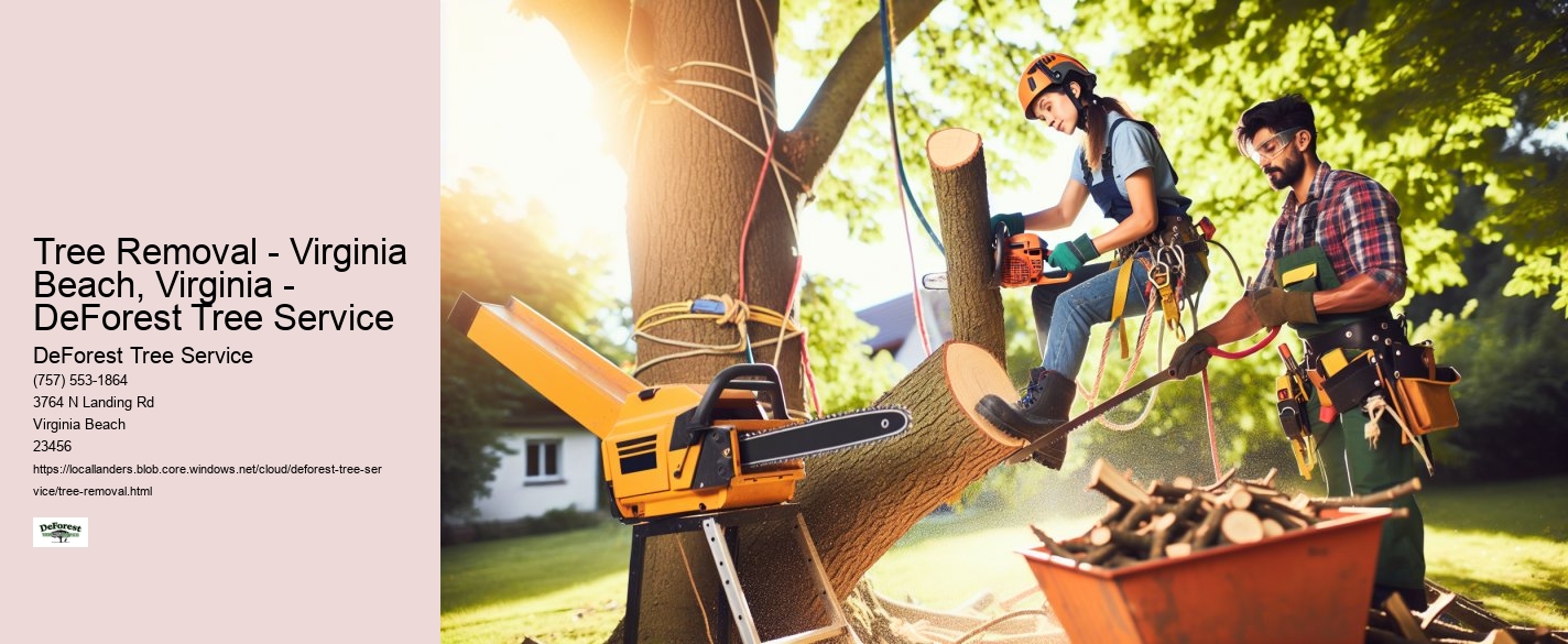 Tree Removal - Virginia Beach, Virginia - DeForest Tree Service