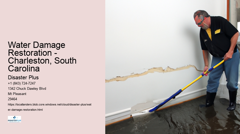 Water Damage Restoration - Charleston, South Carolina