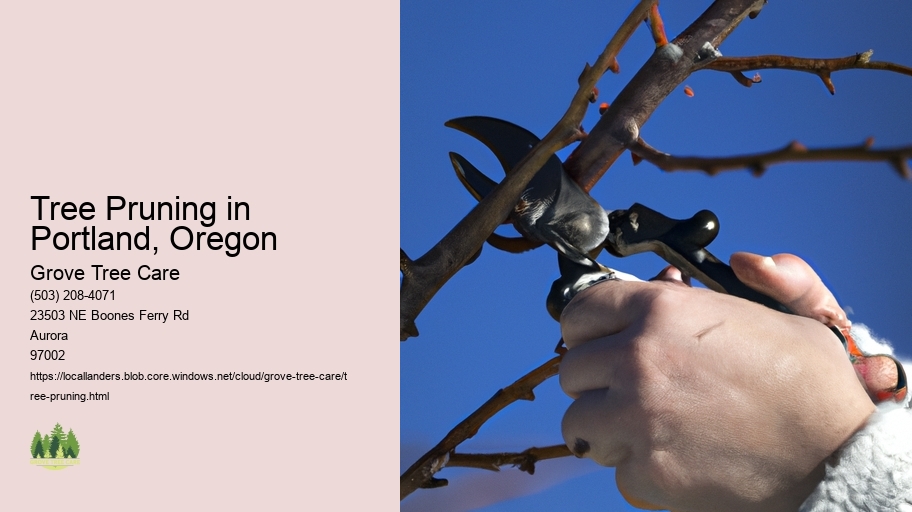 Tree Pruning in Portland, Oregon