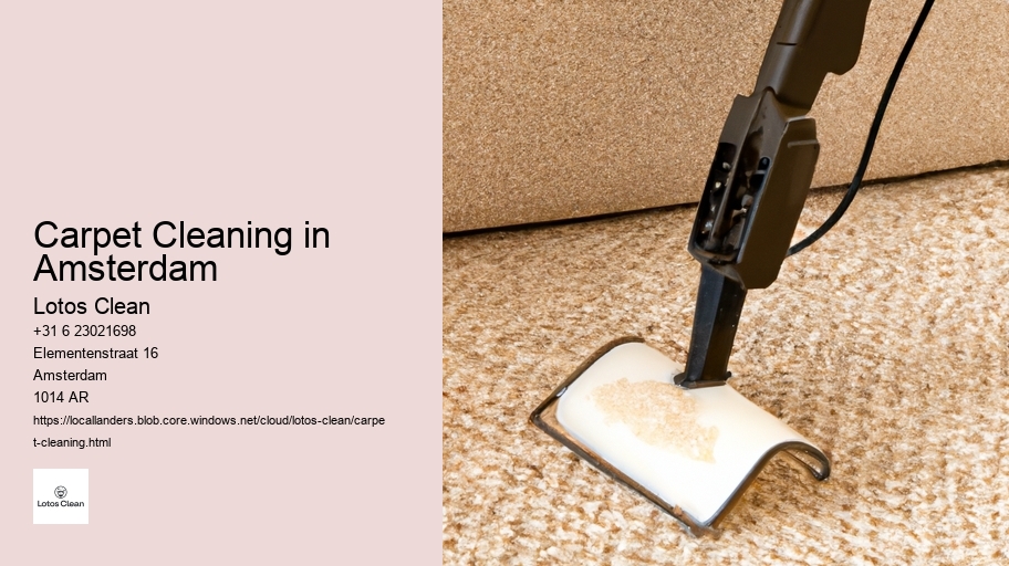 Carpet Cleaning in Amsterdam