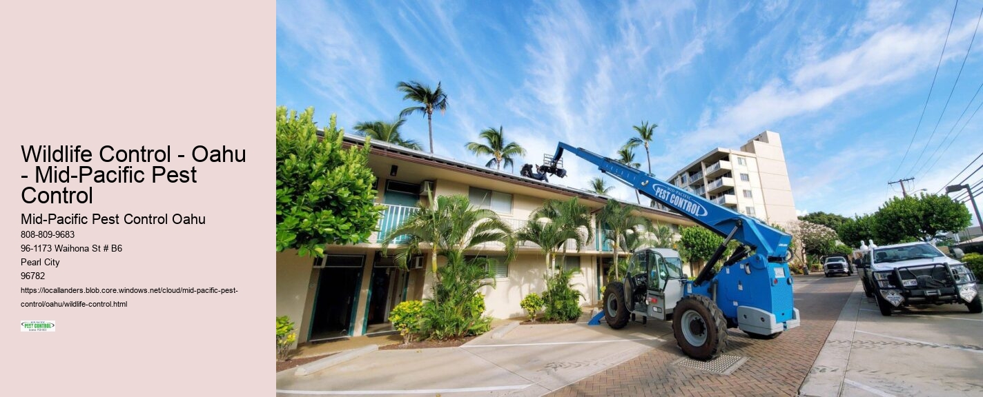 Wildlife Control - Oahu - Mid-Pacific Pest Control