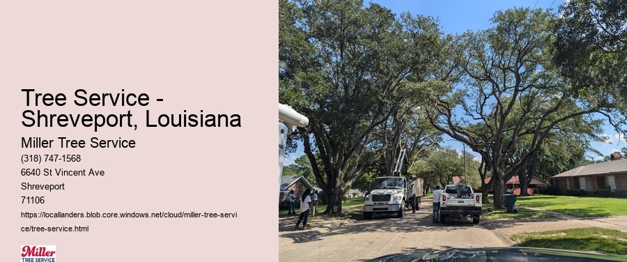 Tree Service - Shreveport, Louisiana