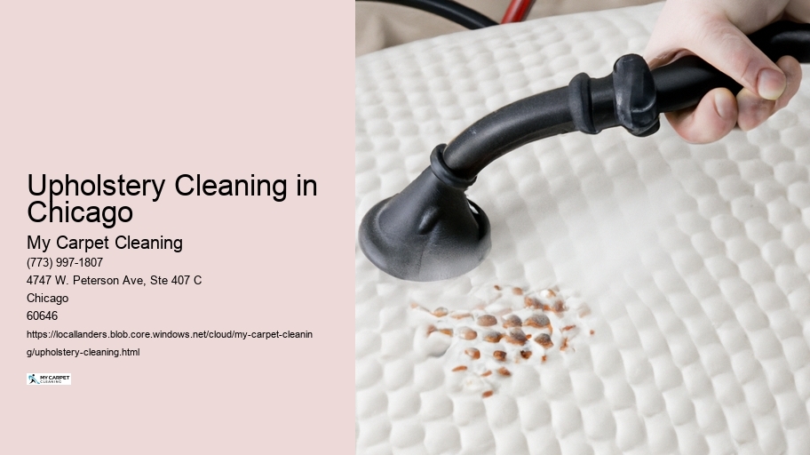 Upholstery Cleaning in Chicago