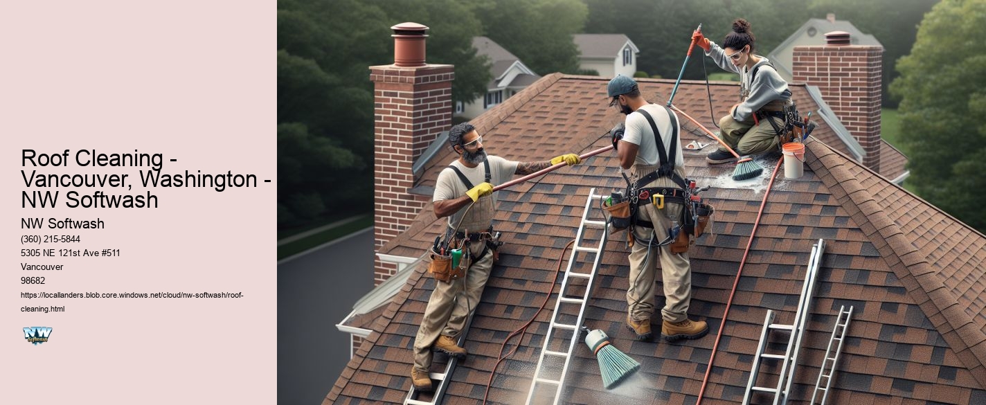 Roof Cleaning - Vancouver, Washington - NW Softwash
