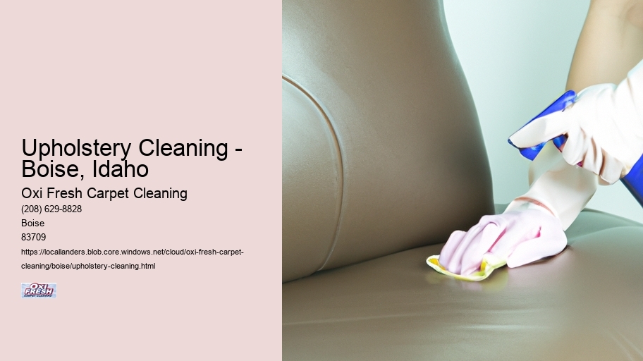 Upholstery Cleaning - Boise, Idaho