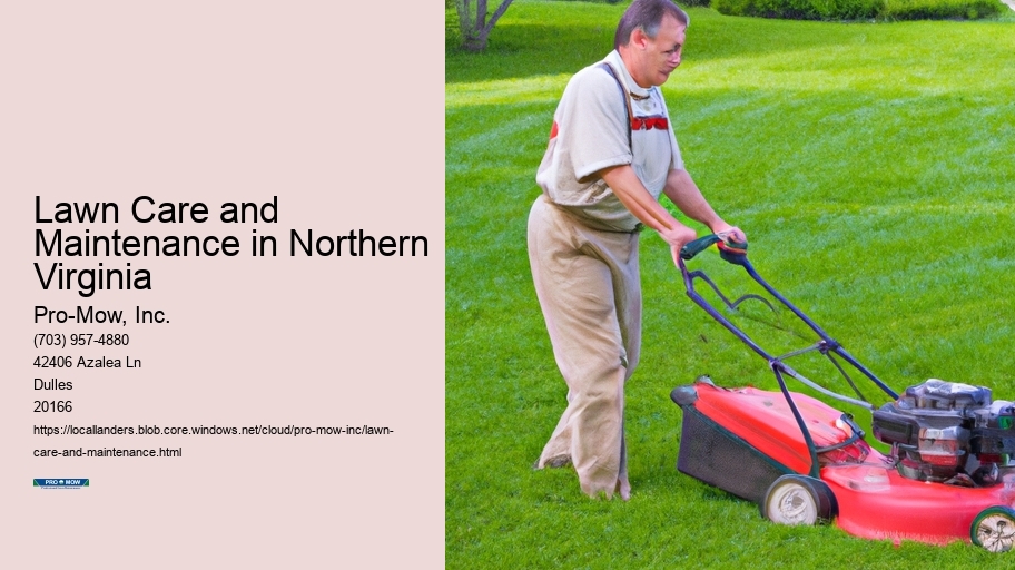 Lawn Care and Maintenance in Northern Virginia