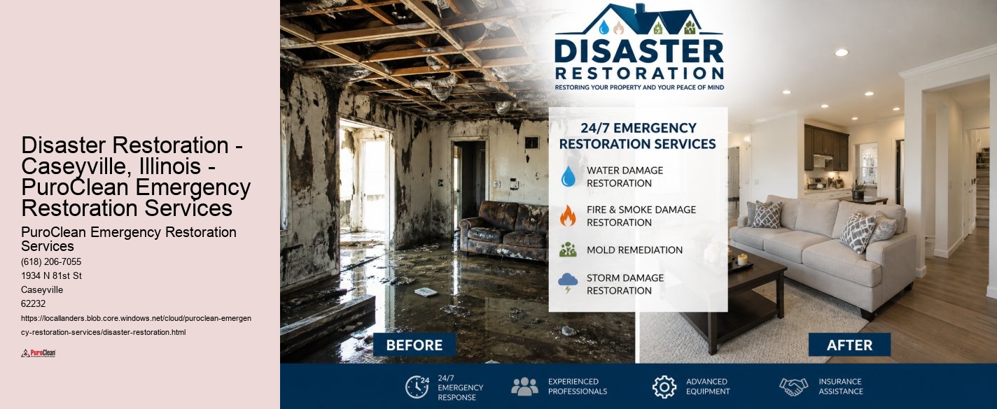 Disaster Restoration - Caseyville, Illinois - PuroClean Emergency Restoration Services PuroClean Emergency Restoration Services Disaster Restoration - Caseyville, Illinois - PuroClean Emergency Restoration Services