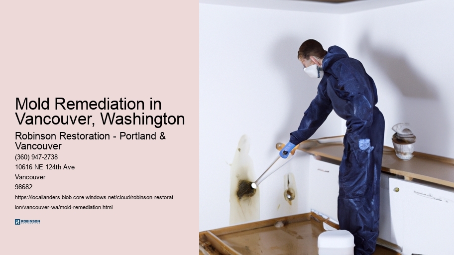 Mold Remediation in Vancouver, Washington