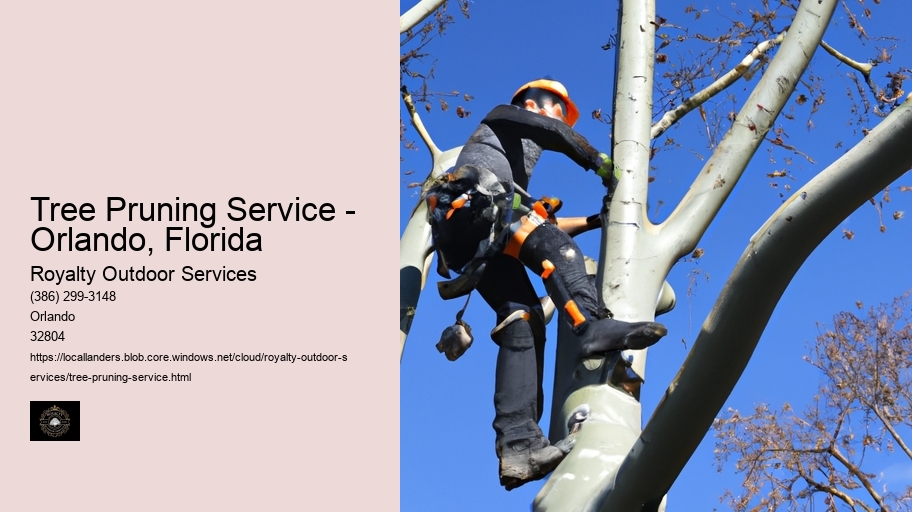 Tree Pruning Service - Orlando, Florida