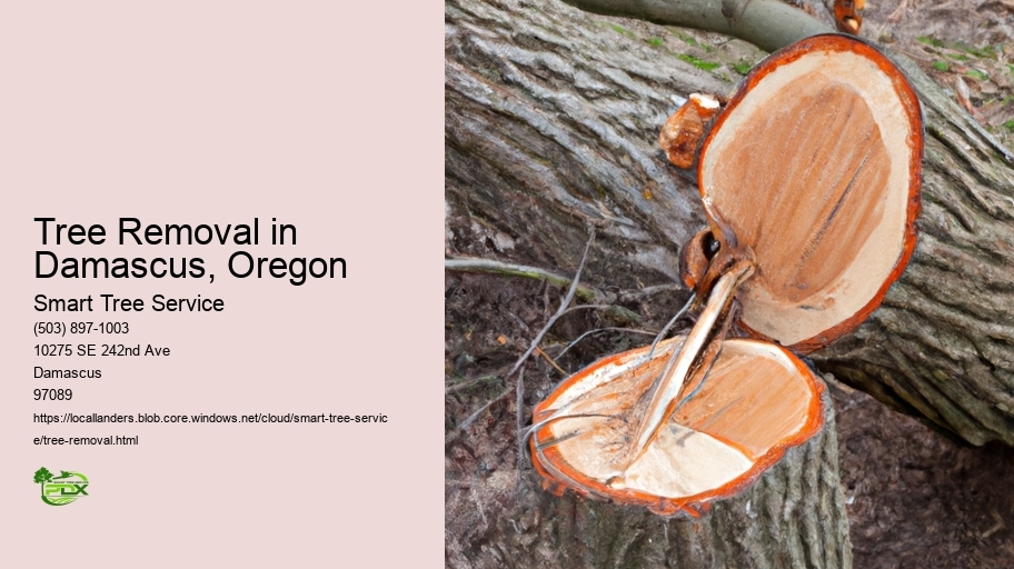 Tree Removal in Damascus, Oregon