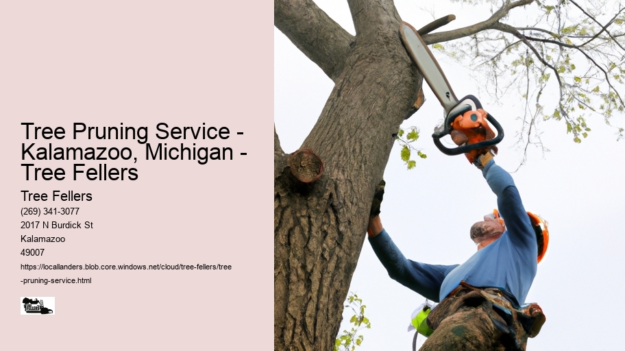 Tree Pruning Service - Kalamazoo, Michigan - Tree Fellers