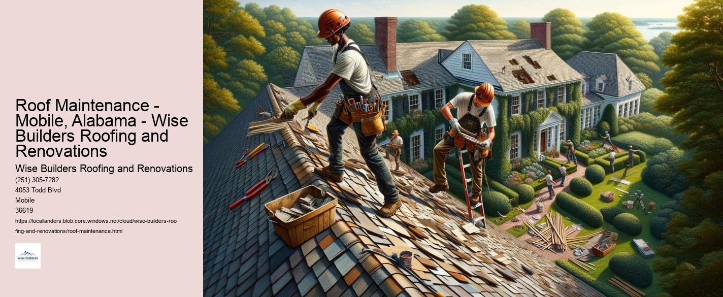 Roof Maintenance - Mobile, Alabama - Wise Builders Roofing and Renovations